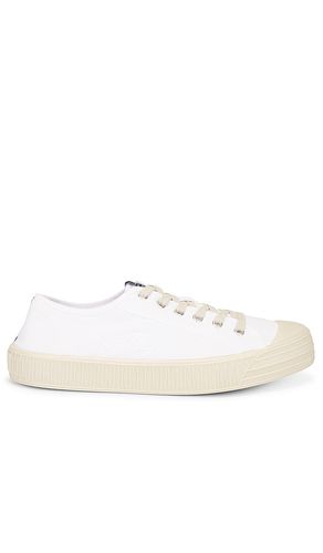 Sherman Low Top in . Taglia 8, 9 - ALLSAINTS - Modalova