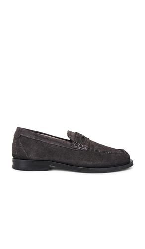 Harmon Suede Loafer in . Size 11, 12, 13, 7 - ALLSAINTS - Modalova