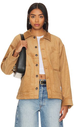 Chore coat in color brown size L in - Brown. Size L (also in M) - ALPHA INDUSTRIES - Modalova