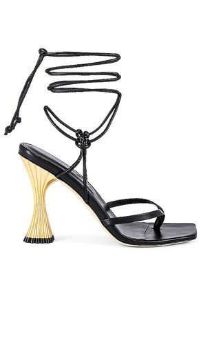 Anastassia 100 Ankle Tie in . Size 6.5, 7.5, 8 - A'mmonde Atelier - Modalova