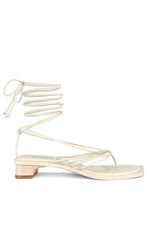 Allegra Lace up Sandals in . Size 5.5, 6.5, 7.5, 8 - A'mmonde Atelier - Modalova