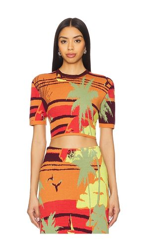 Palm Island Knit Top in . Size M, S, XL, XS, XXS - Alemais - Modalova