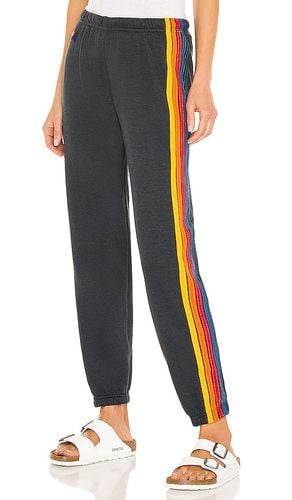 Stripe Sweatpant in . Taglia M, S, XL, XS - Aviator Nation - Modalova