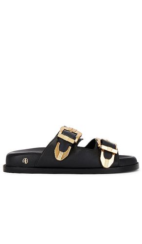 Sandalias waylon en color talla 36 en - Black. Talla 36 (también en 37, 38, 40) - ANINE BING - Modalova