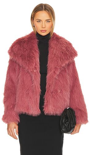 Lynx Faux Fur Coat in . Size M, S, XL, XS - ASTR the Label - Modalova