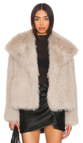 Lynx Faux Fur Coat in . Size M - ASTR the Label - Modalova