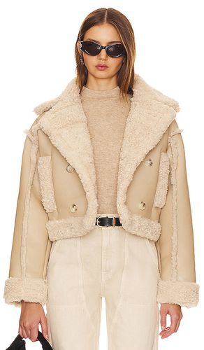 Luciana Faux Leather Jacket in . Size M, S, XL - ASTR the Label - Modalova
