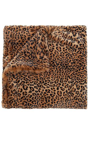 Brady Faux Fur Blanket in - Apparis - Modalova