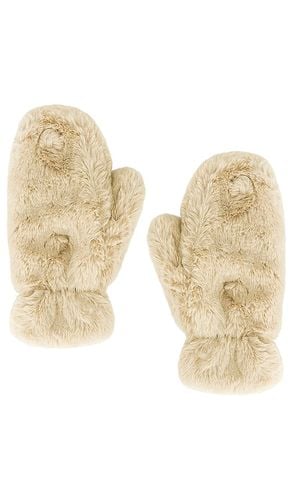 Apparis HANDSCHUHE COCO in Cream - Apparis - Modalova