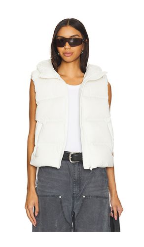 Jacquard Channel Cropped Puffer Vest in . Taglia M, S, XS - Alexander Wang - Modalova