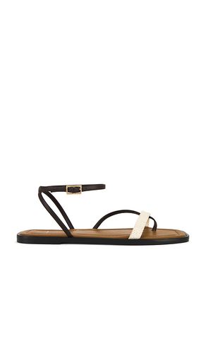 Sandalias miane en color marrón talla 36 (también en 37, 39, 40) - ATP Atelier - Modalova