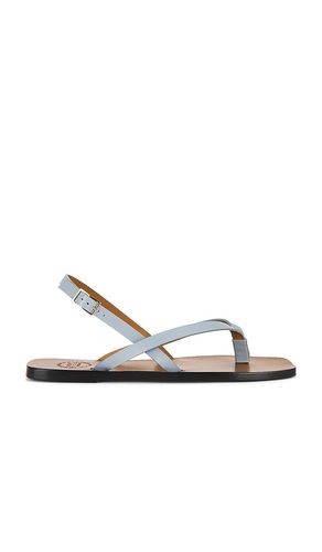 Sandalias en teolo en color gris talla 36 (también en 37, 38, 39, 40) - ATP Atelier - Modalova