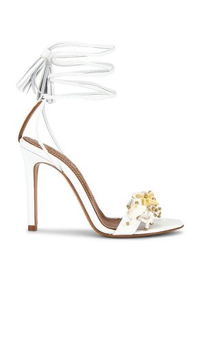 Sirena Sandal in . Taglia 37. Also in 38 - Alameda Turquesa - Modalova