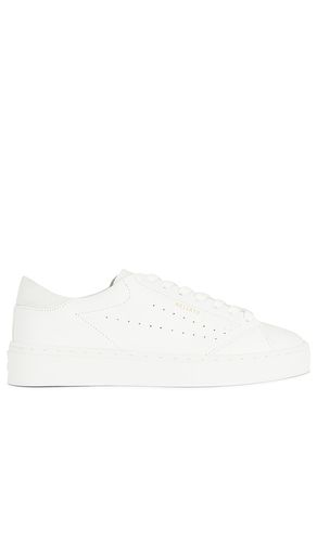 Court Sneaker in . Size 42 - Axel Arigato - Modalova