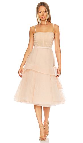Short Tulle Evening Dress in . Size 12, 14, 2, 6 - BCBGMAXAZRIA - Modalova