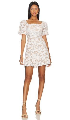 Lace Short Evening Dress in . Size 2, 4, 6, 8 - BCBGMAXAZRIA - Modalova