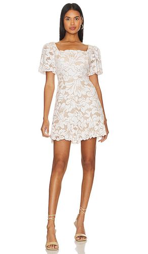 Lace Short Evening Dress in . Size 2, 6 - BCBGMAXAZRIA - Modalova