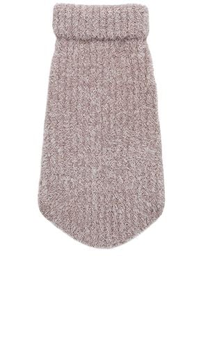 CozyChic Ribbed Pet Sweater in . Taglia XS - Barefoot Dreams - Modalova