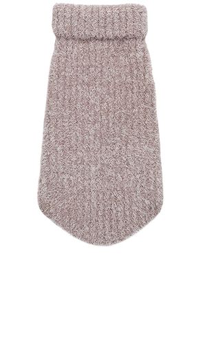 CozyChic Ribbed Pet Sweater in . Taglia XS, XXXL/3X - Barefoot Dreams - Modalova