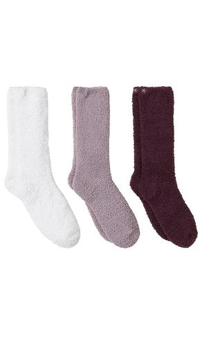 Cozychic 3 pair sock set in in color purple size all in - Purple. Size all - Barefoot Dreams - Modalova