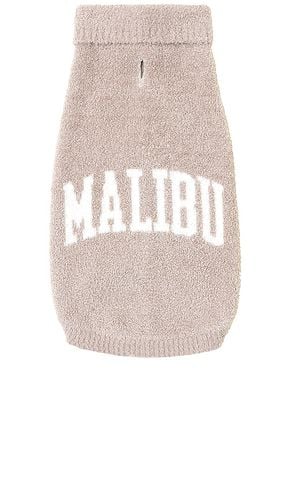 CozyChic Malibu Pet Sweater in . Size S, XL - Barefoot Dreams - Modalova