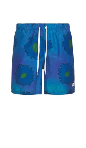 Swim Trunk in . Size M, S, XL/1X - Bather - Modalova