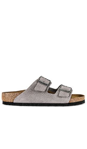 Pasador arizona en color gris talla 42 en & - Grey. Talla 42 (también en 43, 44, 46) - BIRKENSTOCK - Modalova