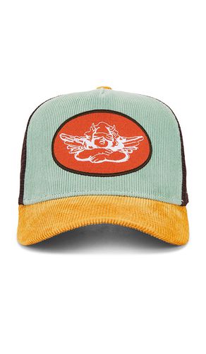 Boys Lie Saguaro Hat in Tan - Boys Lie - Modalova