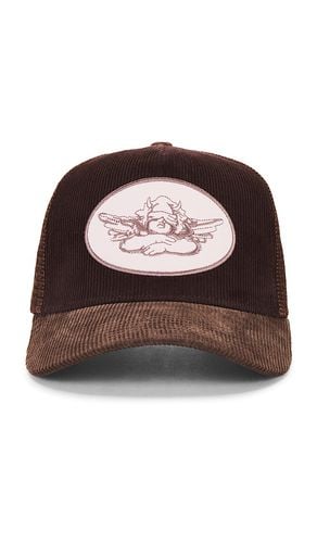 Sombrero trucker en color talla all en - Brown. Talla all - Boys Lie - Modalova