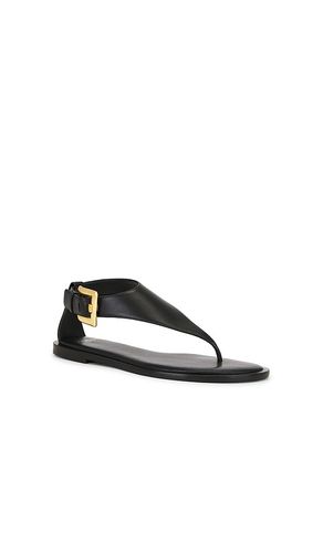 Anthem Thong Sandal in . Taglia 36. Also in 38, 39 - BALMAIN - Modalova
