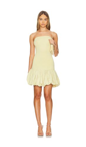 Misena mini dress in color yellow size M in - Yellow. Size M (also in XS) - Belle The Label - Modalova