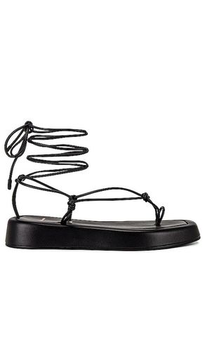 Sandalia cleo en color talla 5 en - Black. Talla 5 (también en 5.5) - BLACK SUEDE STUDIO - Modalova