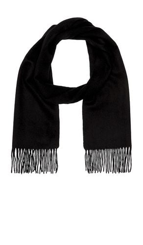 Cashmere Scarf Solid in - Beams Plus - Modalova