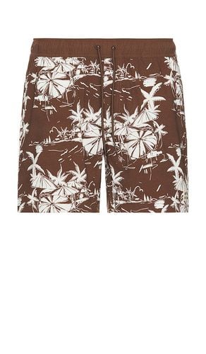 BOARDSHORTS in . Size XL/1X - Brixton - Modalova