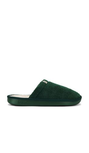 Slipper en color verde talla 10/10.5 en - Green. Talla 10/10.5 (también en 11/11.5, 12/12.5, 7/7.5, 9/9.5) - Brunch - Modalova