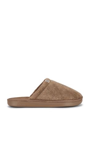 Essential in . Size 8/8.5. Also in 9/9.5, 10/10.5, 13/13.5 - Brunch - Modalova