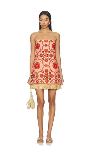 Valencia Mini Dress in . Size 4. Also in 2, 6 - Cara Cara - Modalova