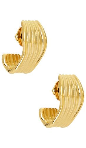 Cala Earrings in - Cendre - Modalova