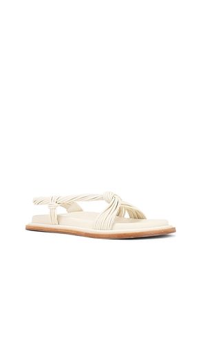 Iverly Knot Sandal in . Size 38. Also in 39 - Acler - Modalova