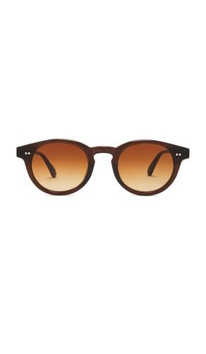 Gafas de sol 3 en color talla all en - Brown. Talla all - Chimi - Modalova