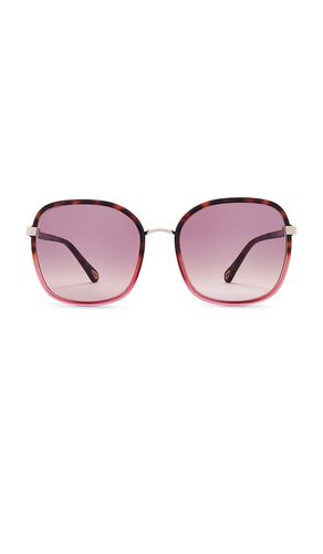 Chloe Franky Sunglasses in Brown - Chloe - Modalova