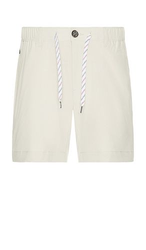 The khakinators 6 everywhere short en color beige talla M en - Beige. Talla M (también en L, XL/1X, XXL/2X) - Chubbies - Modalova
