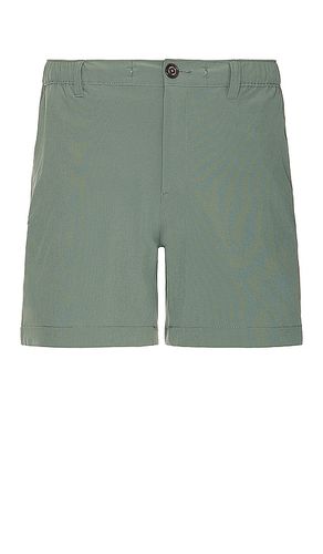 The forests 6 short in color green size S in - Green. Size S (also in XXL/2X) - Chubbies - Modalova