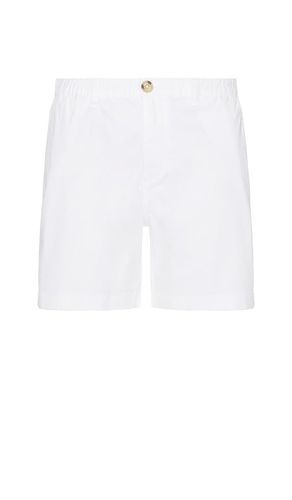 The Vannas 5.5 Short in . Size L - Chubbies - Modalova