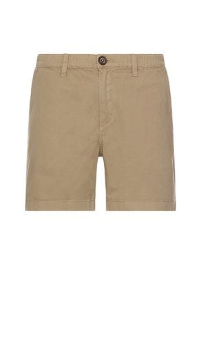 The Dunes 5.5 Short in . Size M, XL/1X - Chubbies - Modalova