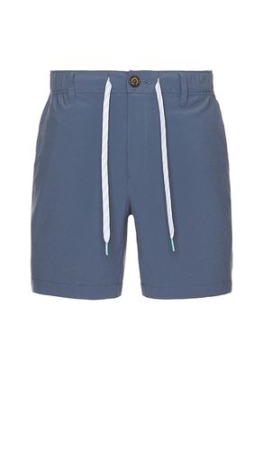 The ice caps 6 short in color blue size L in - Blue. Size L (also in M, XL/1X, XXL/2X) - Chubbies - Modalova