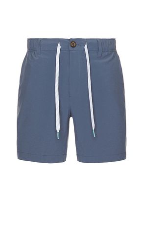 The Ice Caps 6 Short in . Size M, XL/1X, XXL/2X - Chubbies - Modalova