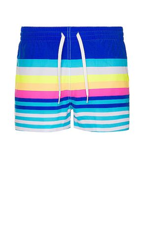 Bañador en color azul talla S en - Blue. Talla S (también en M, XL/1X, XXL/2X) - Chubbies - Modalova