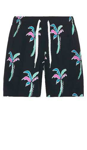 SHORTS in . Size XXL/2X - Chubbies - Modalova