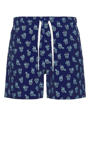 The coladas 5.5 swim short en color azul talla L en - Blue. Talla L (también en S, XL/1X, XXL/2X) - Chubbies - Modalova